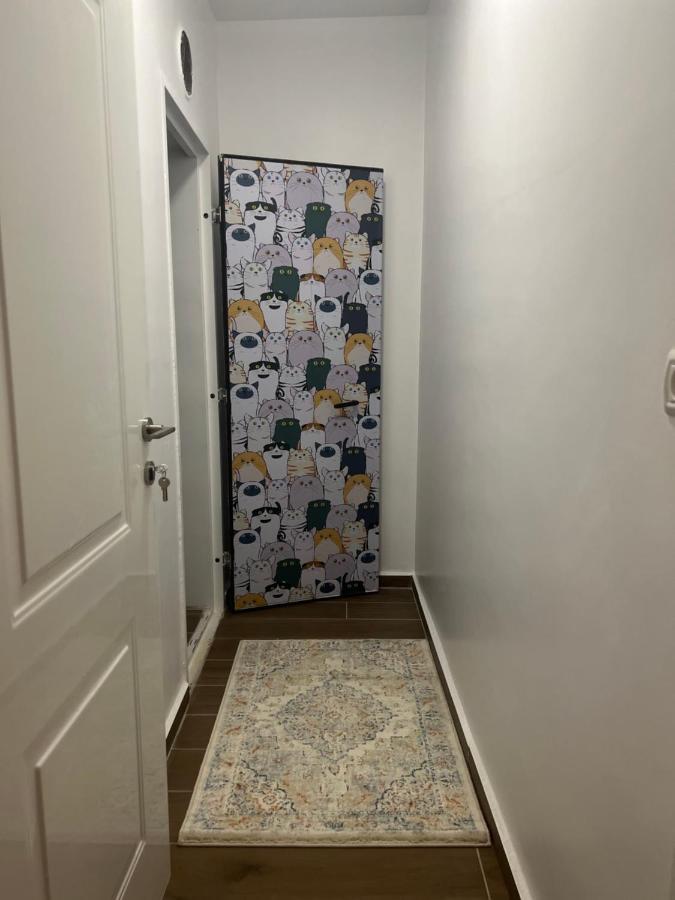 Lana'S Guest House Hurfeish 外观 照片