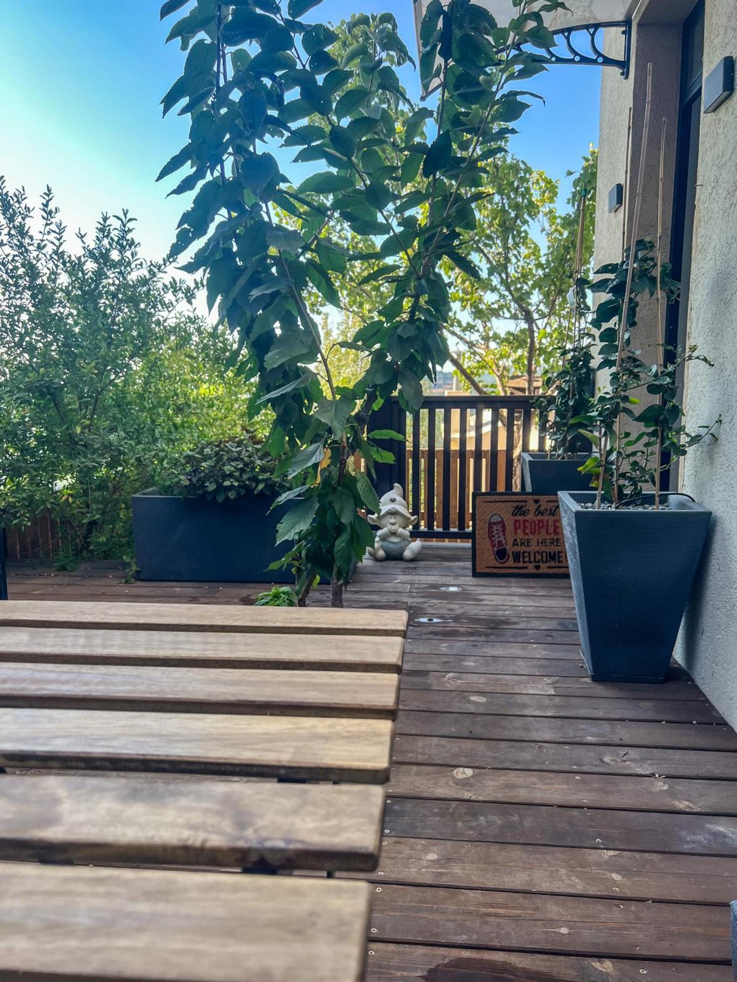 Lana'S Guest House Hurfeish 外观 照片